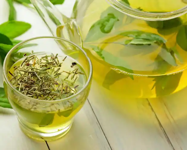Green Tea Extract